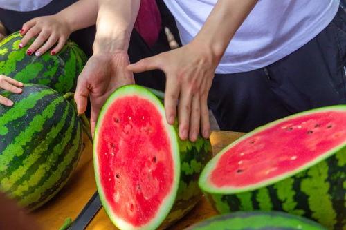 吃瓜院校,校园风云录