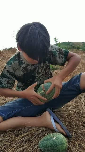 田间大叔吃瓜,田间大叔的夏日吃瓜记