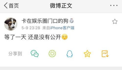 91号吃瓜,一场网络热点的狂欢与反思