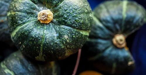 胖乐事件吃瓜,揭秘网络暴力的阴影与反思