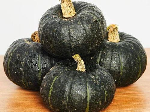 贝贝瓜给婴儿怎么吃,科学喂养，助力宝宝健康成长