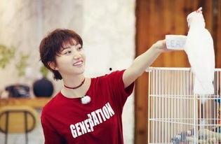 吃瓜孙天宇,揭秘娱乐圈背后的故事