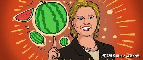 吃瓜导员,校园风云中的麻辣观察者