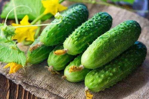 吃瓜霸道花,揭秘娱乐圈背后的那些事儿