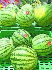 吃瓜的武汉,吃瓜群众的欢乐盛宴