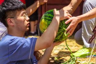 大学吃瓜视频集合,揭秘大学吃瓜视频背后的精彩故事