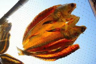 易中天吃瓜,揭秘娱乐圈幕后真相